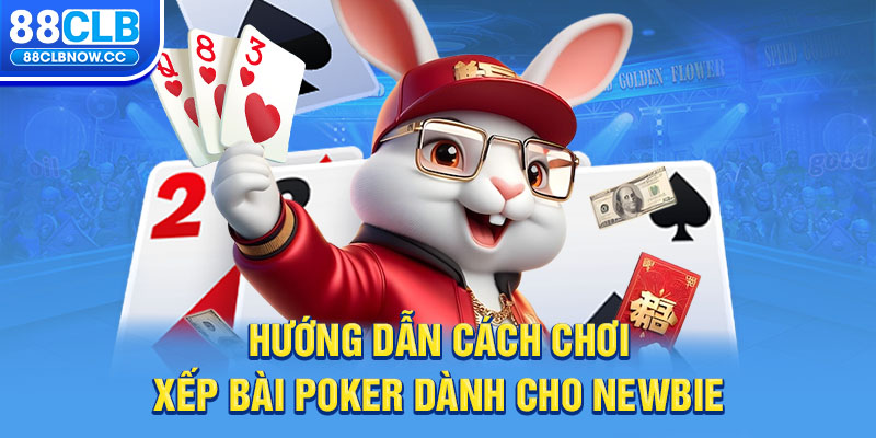 Hướng dẫn cách chơi xếp bài Poker dành cho newbie