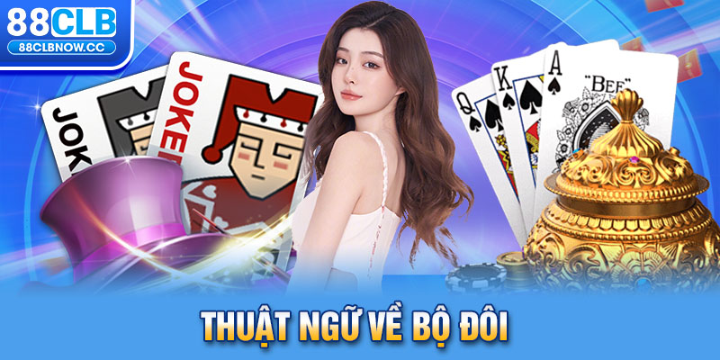 Thuật ngữ về bộ đôi