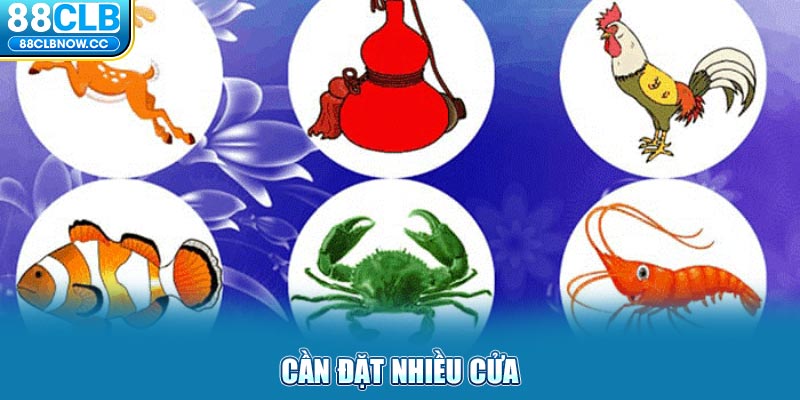 Cần đặt nhiều cửa