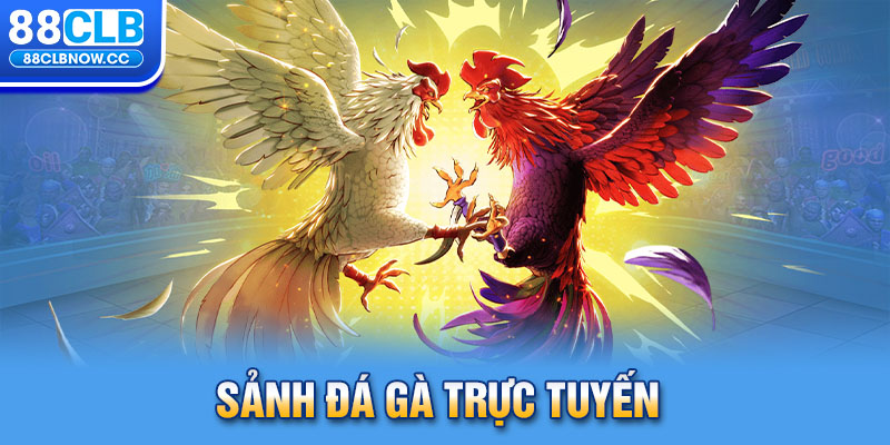 Sảnh Đá Gà trực tuyến