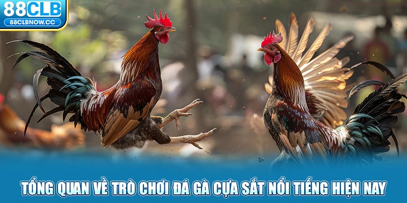 Tổng quan về trò chơi đá gà cựa sắt nổi tiếng hiện nay